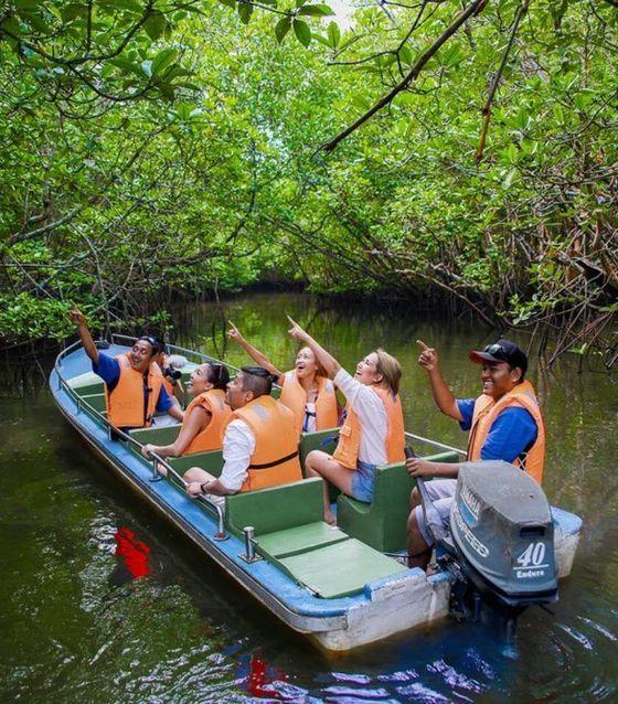 Boat Safari