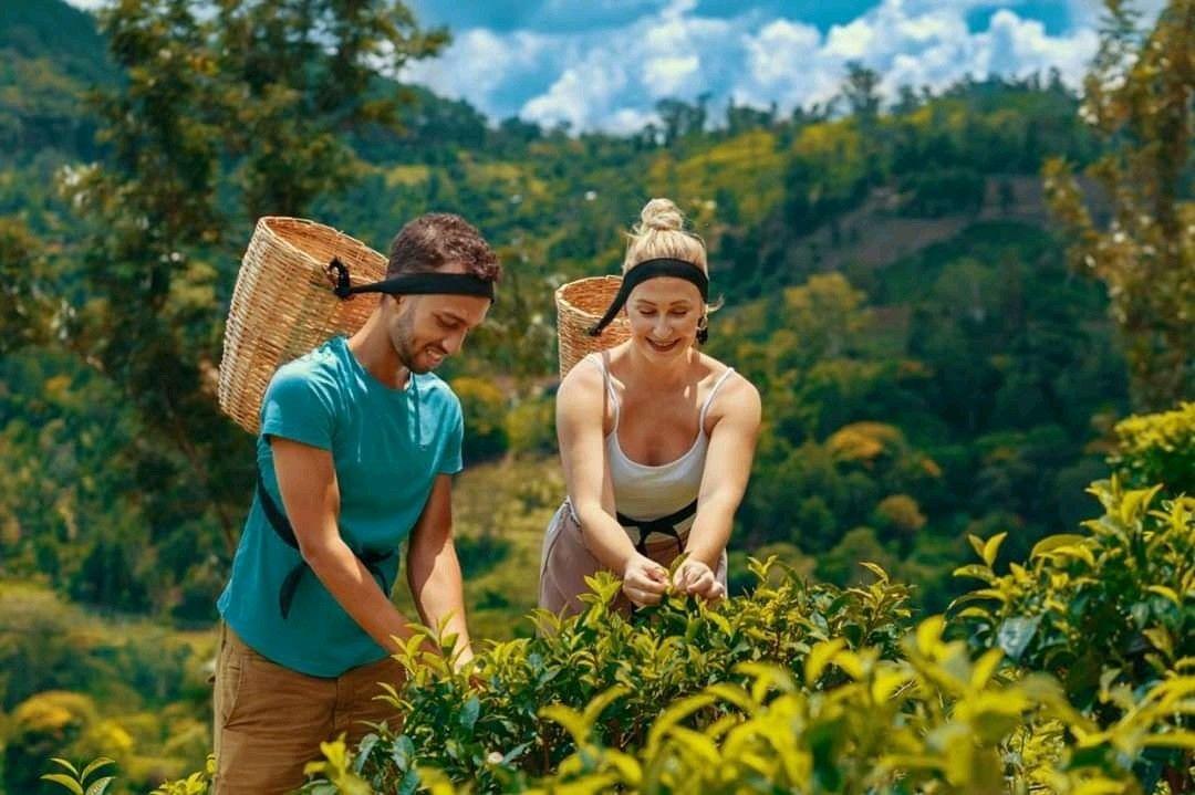 Explore Lifestyle